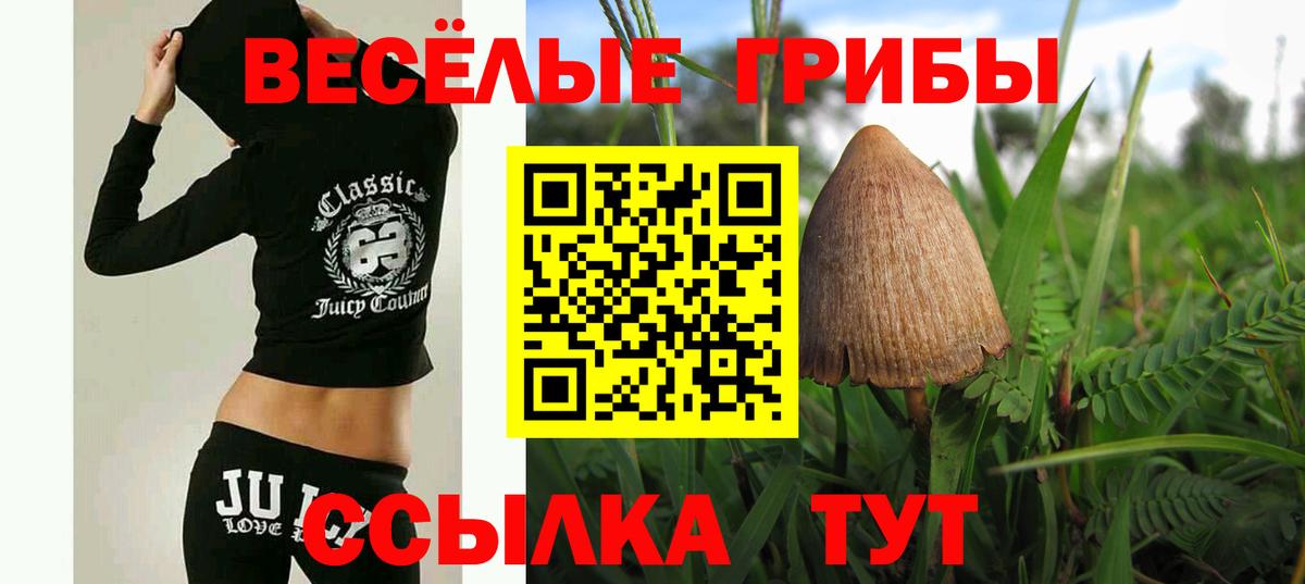 Галлюциногенные грибы Psilocybine cubensis Кыштым